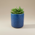 Load image into Gallery viewer, (agate blue)
Agate blue ceramic beaded planter made with ashes, handcrafted by Ahava Memorials as a serene cremation memorial and decorative keepsake.