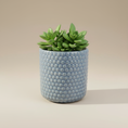 Load image into Gallery viewer, (ice)
Handcrafted ice-blue ceramic beaded planter made with ashes, a peaceful cremation memorial and home art piece by Ahava Memorials.