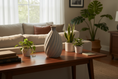 Load image into Gallery viewer, Twist Vase by Ahava Memorials — handcrafted ceramic memorial vase made with ashes, styled with natural light and organic textures for a serene display.
Living room with a wooden coffee table featuring decorative items and plants.
