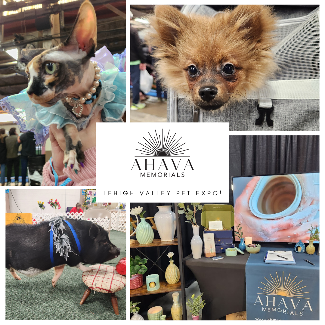 Lehigh Valley Pet Expo Recap