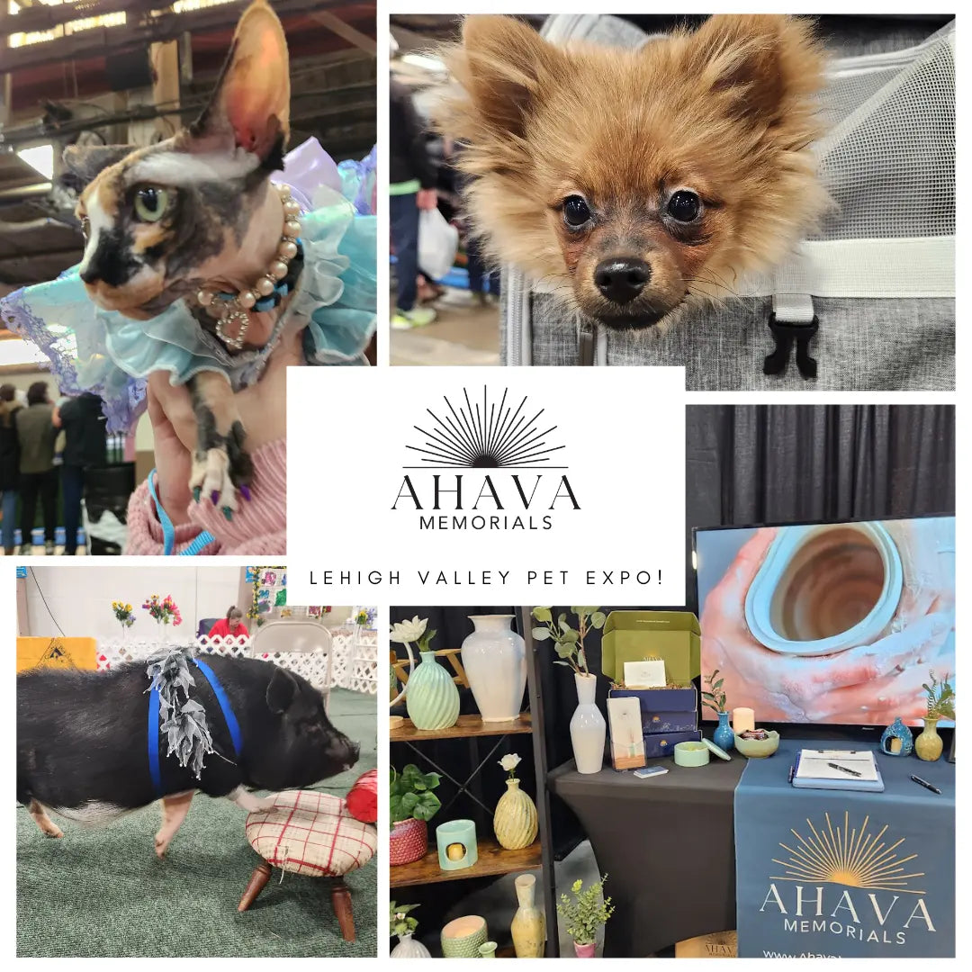 Lehigh Valley Pet Expo Recap