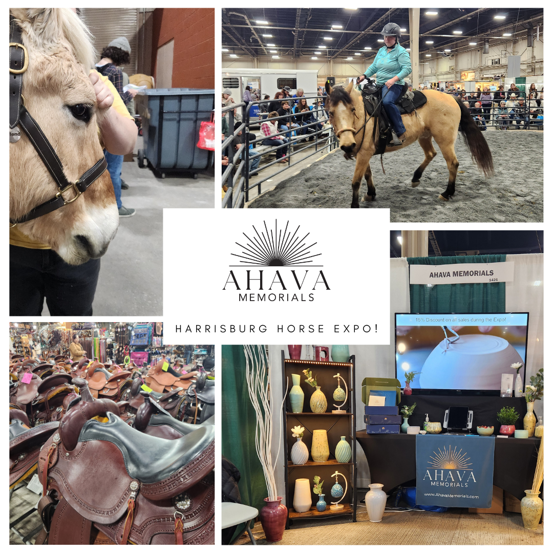 Horse World Expo Recap