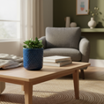 Load image into Gallery viewer, Ceramic beaded planter by Ahava Memorials, handcrafted with ashes and filled with a living plant, symbolizing renewal and remembrance in a bright home setting.
