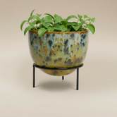 (jasper gold)
Jasper gold ceramic modern planter with stand made with ashes, a luminous handcrafted cremation memorial by Ahava Memorials celebrating warmth and life.